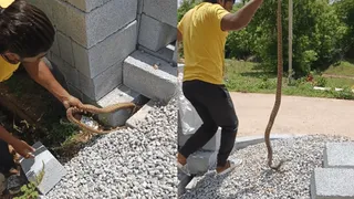 Viral Video: Man Catches Giant Cobra With Bare Hands | Internet Stunned